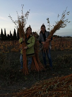 les femmes début